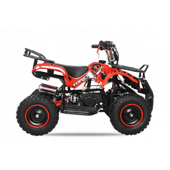 Torino e-start 49cc COMPOSITION MINI QUAD FOR CHILDREN 50cc