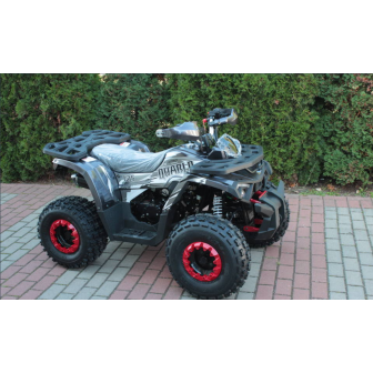 Quablo Performance 125cc Petrol Quad 8"