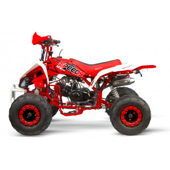 Speedy 125cc Combustion Quad 7"