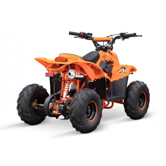 Bigfoot 125cc Petrol Quad 6"