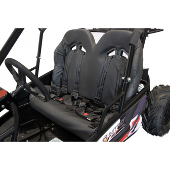 LARGE ELECTRIC BUGGY 1000W 60V 2-seater