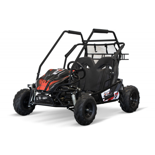 LARGE ELECTRIC BUGGY 1000W 60V 2-seater