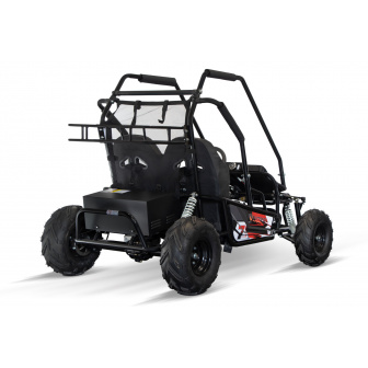 LARGE ELECTRIC BUGGY 1000W 60V 2-seater