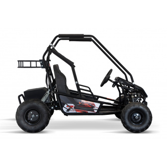 LARGE ELECTRIC BUGGY 1000W 60V 2-seater