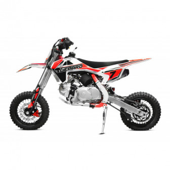 Dorado 110cc AUTOMATIC PIT BIKE - CROSS 10/10"