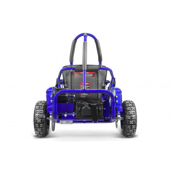 ELECTRIC BUGGY 1000W 48V for children