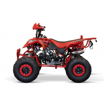 RAZER 125CC 7 combustion quad for children