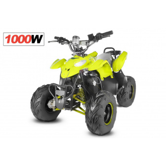 Razer 800W 36V Electric Quad Bike for Children