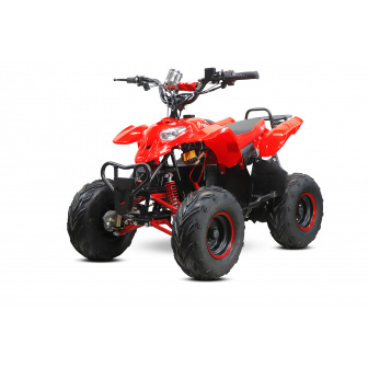 Razer 800W 36V Electric Quad Bike for Children