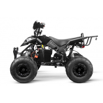 Razer 800W 36V Electric Quad Bike for Children