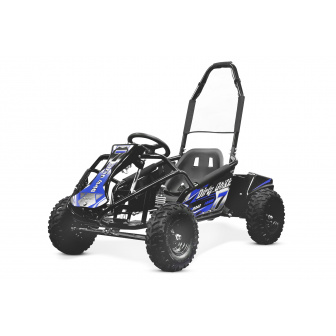 GOKART 1000W 48V electric buggy for children