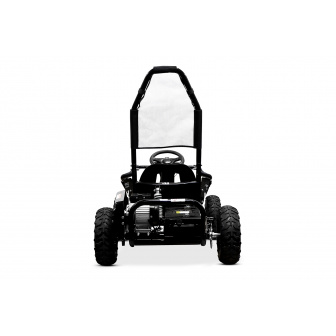 GOKART 1000W 48V electric buggy for children