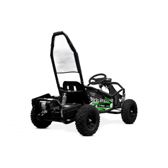 GOKART 1000W 48V electric buggy for children