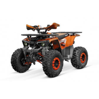 STONE RIDER 3 GEARS petrol quad 125 WHEELS 8