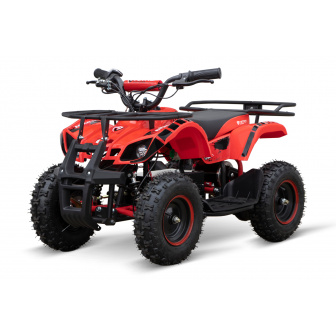 Torino 800W 36V Electric Quad Bike for Children