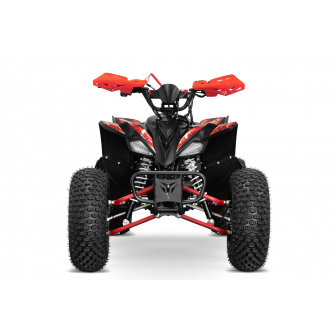 copy of REPLAY 125 combustion quad, 8 wheels, automatic