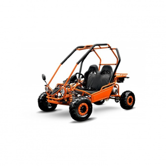 copy of PETROL BUGGY 125 CC Buggy for a child