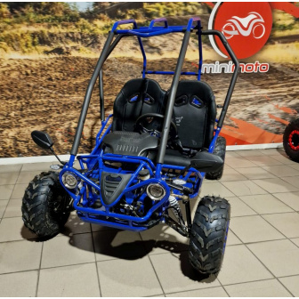 copy of PETROL BUGGY 125 CC Buggy for a child