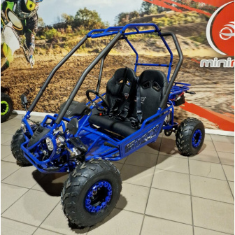 copy of PETROL BUGGY 125 CC Buggy for a child