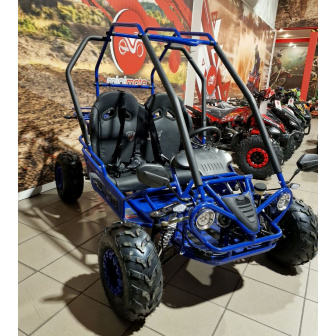 copy of PETROL BUGGY 125 CC Buggy for a child