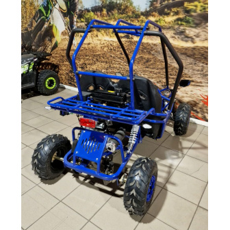 copy of PETROL BUGGY 125 CC Buggy for a child