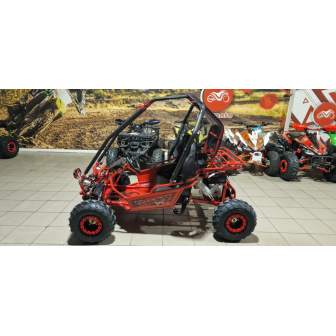 copy of PETROL BUGGY 125 CC Buggy for a child