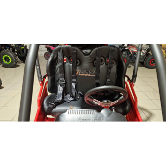 copy of PETROL BUGGY 125 CC Buggy for a child