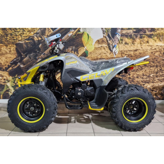 quad celavi 250 cc manual