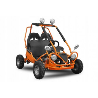 Mini Buggy 50cc Petrol buggy for children