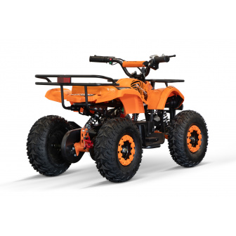 copy of Torino BTF 1000W 48V Electric Quad Bike for Children