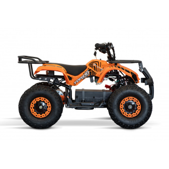 copy of Torino BTF 1000W 48V Electric Quad Bike for Children