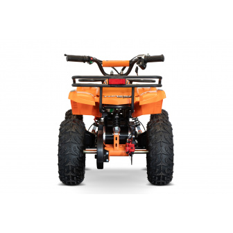 copy of Torino BTF 1000W 48V Electric Quad Bike for Children