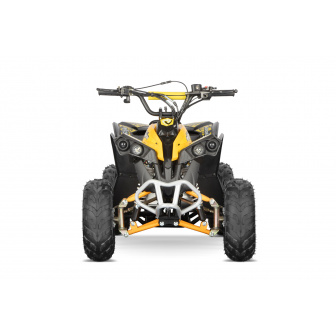 AVEVGER 125 cc 6" Combustion Quad for children