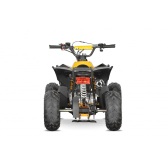 AVEVGER 125 cc 6" Combustion Quad for children