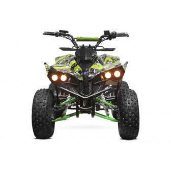 Warrior graffiti 1000W 48V Electric large Quad