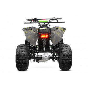 Warrior graffiti 1000W 48V Electric large Quad